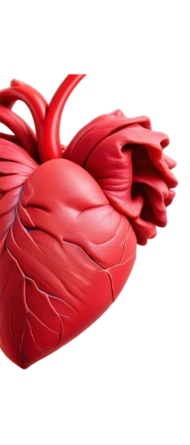 coronary vascular,coronary artery,microcirculation,human cardiovascular system,cardiovascular,cardiomyopathy,human heart,ventricle,myocardium,tavr,hypercholesterolemia,endocardial,thrombus,ventricles,endocarditis,microvascular,myocarditis,atrioventricular,vasculature,paraventricular,Conceptual Art,Daily,Daily 32