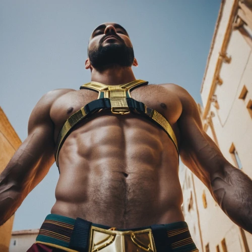 polykleitos,gladiator,oenomaus,pharaonic,harnessed,iyanya,heimdall,xerxes,wakanda,folsom,african american male,afrofuturism,ilaje,harness,anubis,superheroic,regilio,armorlike,achilles,pec,Photography,Documentary Photography,Documentary Photography 08