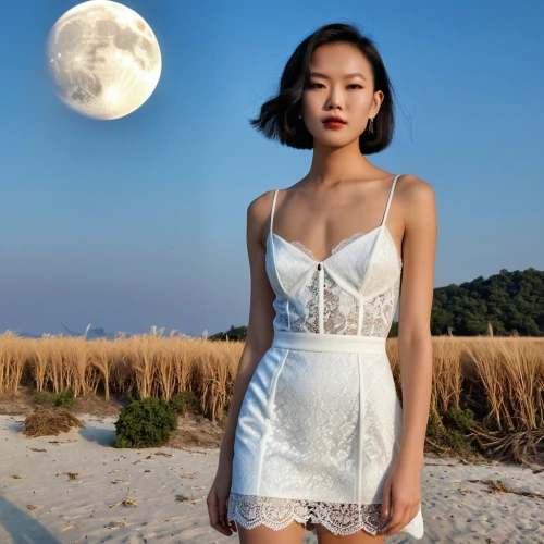 moonshot,moonstruck,moondragon,moon addicted,nightdress,qixi,moon phase,phuong,moonrise,hara,jinglei,moonflower,jiyun,thuy,calystegia,moonlit,moon shine,lunar,moonwatch,moonlite