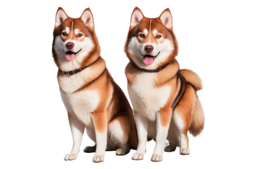 malamutes,huskies,akitas,shibboleths,woofers,inu,two dogs,malamute,corgis,doges,ein,huskic,dingos,beagles,shiba,alsatians,dingoes,shikotan,dogana,shiba inu,Unique,3D,Modern Sculpture