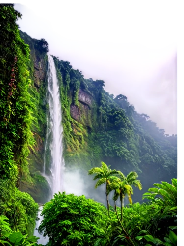 green waterfall,rainforests,nature background,rain forest,waipio,tropical forest,waterfalls,yunque,nature wallpaper,salalah,koolau,iao,background view nature,landscape background,brown waterfall,rainforest,tropical jungle,water fall,kalalau,waterfall,Photography,General,Fantasy