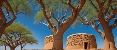 superadobe,agadez,ouarzazate,argan trees,qasr azraq,libyan desert,qasr al watan,sahel,sossusvlei,taroudant,islamic architectural,voortrekker,dovecotes,djougou,makli,bandiagara,baobabs,voortrekkers,king abdullah i mosque,kufra,Photography,Fashion Photography,Fashion Photography 26