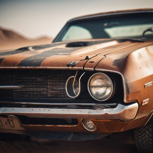 ford mustang,muscle car,american muscle cars,mustang,cuda,mustang gt,muscle icon,muscle car cartoon,stang,oldtimer car,rusty cars,bullitt,american classic cars,gtos,mad max,car wallpapers,vintage car,mustangs,vintage cars,classic car,Photography,General,Cinematic