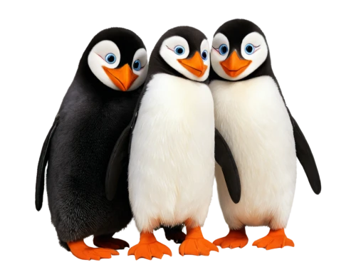 penguin couple,penguins,puffinus,emperor penguins,african penguins,donkey penguins,pinguine,penggen,pengassan,penguin enemy,pengkalen,pingu,penguin,pinguis,kowalski,king penguins,pinguin,xubuntu,defence,pengo,Illustration,Abstract Fantasy,Abstract Fantasy 16