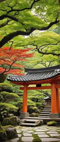 the japanese tree,japan garden,japanese garden,japon,japanese garden ornament,japan landscape,japanese background,beautiful japan,japanese shrine,ginkaku-ji temple,japanese zen garden,japanese art,japanese maple,japanese culture,heian,japanese floral background,torii,japan's three great night views,japans,asian architecture,Unique,Paper Cuts,Paper Cuts 06