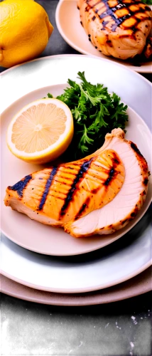 salmon fillet,yellowtail,grilled food,fillets,zalm,scaloppine,pangasius,albacore,yemenidjian,nigiri,arepas,halloumi,tilapia,grilled chicken,scallop,piccata,food photography,grilled vegetables,painted grilled,halibut,Art,Artistic Painting,Artistic Painting 42