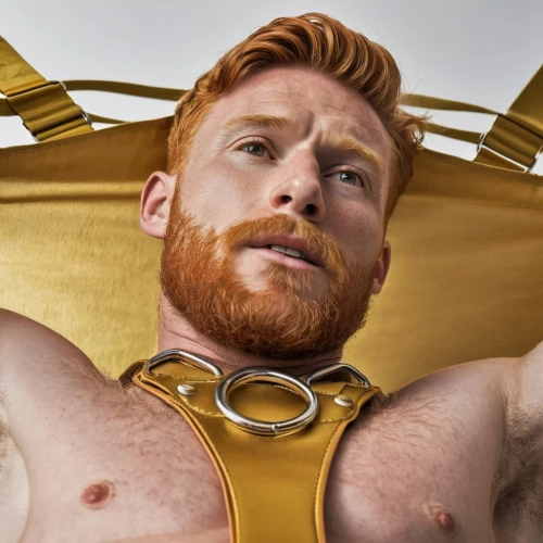 ginger rodgers,redbeard,sheamus,gingrichian,ginger,harness,leatherman,pectoral,harnessed,gingerich,folsom,rousse,gingersnap,pec,gingold,gingerly,gingrey,stoick,zebrowski,goncharov,Photography,Documentary Photography,Documentary Photography 36