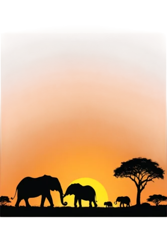 serengeti,tsavo,african elephants,pejeta,zambezian,animal silhouettes,savane,africa,elephants,elephant herd,cartoon elephants,afrique,tuskers,javani,east africa,samburu,african elephant,isiolo,africano,safari,Illustration,Vector,Vector 01