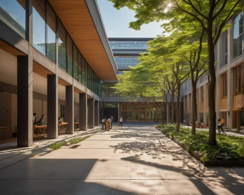 schulich,sfu,langara,ubc,kansai university,yonsei,kaist,esade,njitap,corten steel,unsw,cityu,macalester,embl,cedarvale,uoit,tdsb,kanazawa,atriums,uqam,Illustration,Japanese style,Japanese Style 12