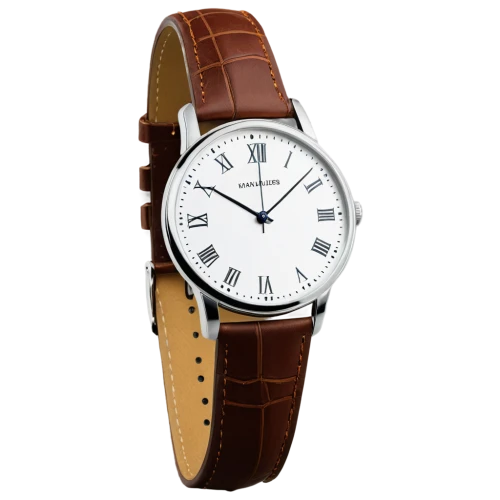 bidermann,wristwatch,men's watch,meistersinger,panerai,antiquorum,chronometer,male watch,analog watch,tourneau,timex,longines,mechanical watch,wristwatches,kienzle,bucherer,reloj,wrist watch,tavannes,conoley,Conceptual Art,Daily,Daily 08