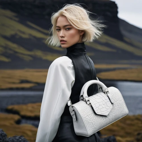 minkoff,delvaux,hindmarch,faroe,krakoff,faroese,loewe,faroes,celine,dior,volkswagen bag,mbradley,claudie,filippa,lancel,handbags,smythson,knapsacks,handbag,caitriona,Photography,Fashion Photography,Fashion Photography 10