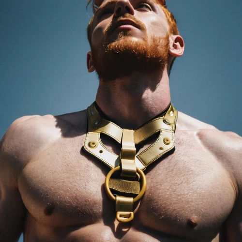 harness,climbing harness,harnessed,sheamus,harnesses,redbeard,folsom,pectoral,halters,collar,marsteller,leatherman,pec,rope daddy,ginger rodgers,chains,collars,ginger,pharaoh,goldin,Photography,Documentary Photography,Documentary Photography 08