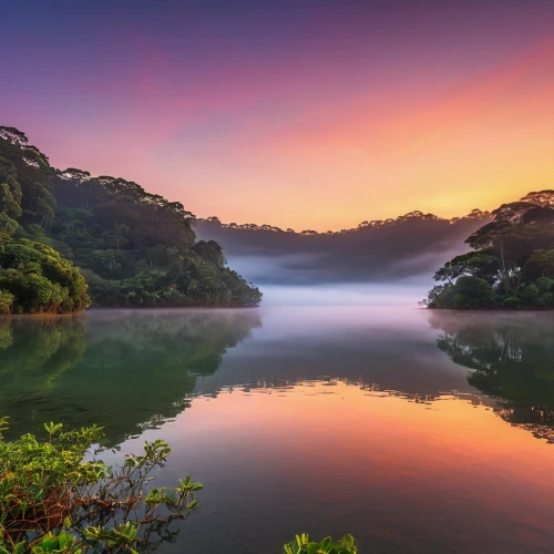 titirangi,meghalaya,zealandia,waitakere,kerikeri,nzealand,waitomo,new south wales,japan landscape,new zealand,lake tanuki,zealand,north island,coromandel,amazonia,waiheke,puriri,evening lake,kaitoke,tailandia,Photography,General,Realistic