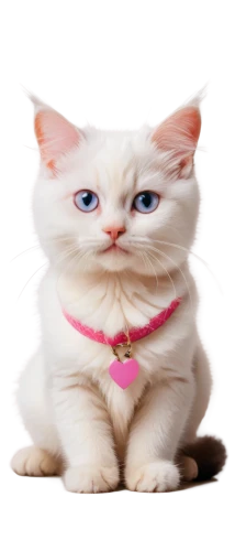 pink cat,cute cat,cat image,cat vector,white cat,himalayan persian,calico cat,suara,breed cat,miao,snowbell,transparent background,cat look,chiffon,pink background,omc,kittenish,kittu,cat,mau,Art,Classical Oil Painting,Classical Oil Painting 44