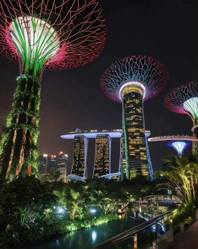 singapore,gardens by the bay,singapura,garden by the bay,singapore landmark,marina bay sands,singaporean,night view of red rose,singaporeans,dubai garden glow,international towers,cyberjaya,shangrila,kallang,skypark,skylstad,capitaland,hukawng,the park at night,changi,Photography,Fashion Photography,Fashion Photography 03