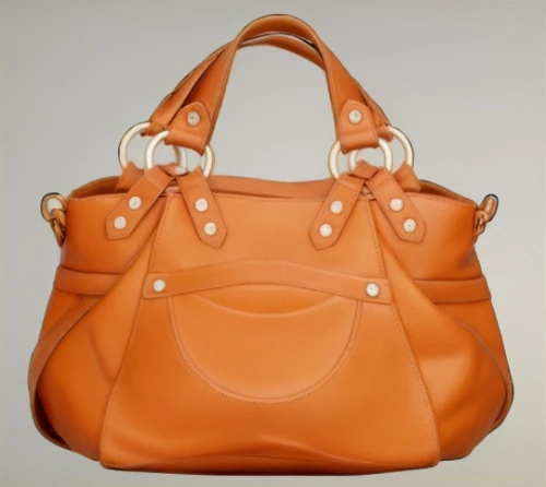 longchamp,handbag,birkins,carryall,handbags,purse,longchamps,delvaux,cartera,purses,mbradley,birkin,murcott orange,celine,pocketbook,leather goods,pursey,hermes,satchell,yellow purse