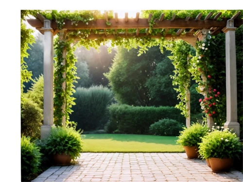 pergola,garden door,summer border,flower border frame,arbour,green garden,gardin,ivy frame,rose arch,archways,green border,floral border,gardens,garden fence,garden decor,frame border,inglenook,garden,english garden,landscape designers sydney,Photography,Documentary Photography,Documentary Photography 06