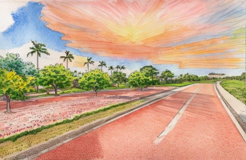 watercolor palm trees,hockney,coastal road,bicycle path,watercolor background,asphalt road,road,bike path,watercolor,watercolor painting,watercolor sketch,gregory highway,rose drive,roadway,palm pasture,photo painting,bicycle lane,fuvahmulah,open road,bikeway,Landscape,Landscape design,Landscape Plan,Watercolor