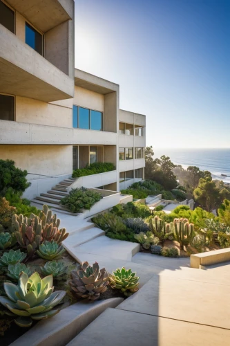 dunes house,oceanfront,xeriscaping,landscape design sydney,landscaped,mid century modern,la jolla,fresnaye,neutra,ucsd,landscape designers sydney,seidler,mid century house,beach house,breezeway,beachfront,shorecrest,carlsbad,ucsb,getty,Illustration,Retro,Retro 11