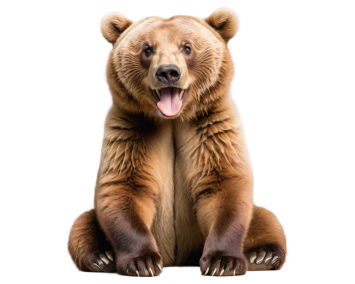 bearlike,brown bear,european brown bear,cute bear,bear,bearish,scandia bear,great bear,bearup,ursine,nordic bear,bearse,bearshare,bearishness,bearman,grizzly bear,bearss,cub,bear teddy,forebear,Illustration,Japanese style,Japanese Style 19