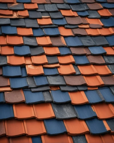 roof tiles,tiled roof,roof tile,shingled,house roofs,roof landscape,terracotta tiles,shingles,tiles shapes,house roof,roofing,rooflines,shingle,red roof,slate roof,roofs,clay tile,roof panels,roof plate,dormer,Illustration,Realistic Fantasy,Realistic Fantasy 45