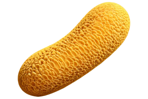 golgi,mitochondrion,mitochondrial,mitochondria,flagella,tamponnaise,plasmon,lactobacillus,cobolli,eclair,eukaryote,ecoli,escherichia coli,pylori,pseudomonas,suppository,listeria,lactobacilli,spermatozoa,merguez,Conceptual Art,Graffiti Art,Graffiti Art 02