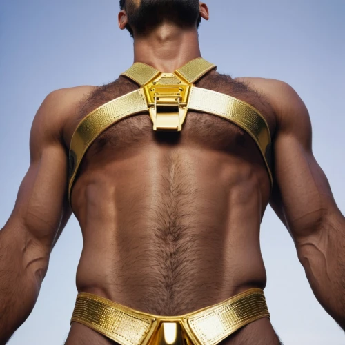 topher,harness,harnessed,leatherman,folsom,serpentor,polykleitos,jockstraps,pectoral,hourman,musclebound,jockstrap,belted,armorlike,goldar,harnesses,gold colored,kryptarum-the bumble bee,halters,heimdall,Photography,Documentary Photography,Documentary Photography 37