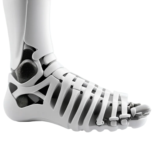 biomechanical,prosthesis,orthosis,osseointegration,sesamoid,foot model,orthotic,foot reflex,lisfranc,orthotics,capezio,stack-heel shoe,reflex foot sigmoid,shinguards,navicular,orthopedics,orthoses,dorsiflexion,high heeled shoe,foot reflex zones,Illustration,Black and White,Black and White 06