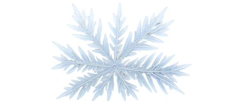 snowflake background,ice crystal,crystalize,blue snowflake,crystalline,palm tree vector,crystalized,christmas snowflake banner,crystallization,pine needle,snow flake,snow crystals,feather bristle grass,fir needles,christmas snowy background,white snowflake,ice flowers,palmtree,crystallized,crystallites,Conceptual Art,Fantasy,Fantasy 20