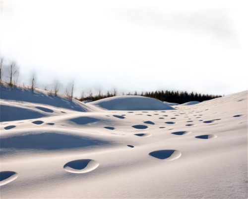 snowdrifts,snow landscape,snowfield,snowdrift,snowfields,deep snow,snow slope,snow fields,snowy landscape,snow trail,drifts,snowbanks,snowshoe,snowbank,winter landscape,snowshoeing,snow scene,white turf,winter background,snow cornice,Art,Artistic Painting,Artistic Painting 34