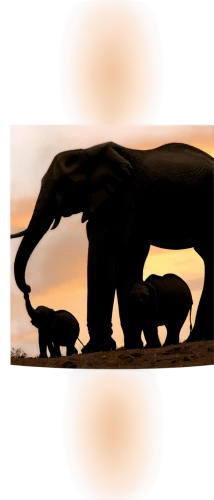 elephant with cub,elephants,mammoths,african elephants,tuskers,animal silhouettes,disneynature,elephant camp,baby elephants,serengeti,size comparison,tsavo,pleistocene,cartoon elephants,elephant herd,pejeta,elephant babies,homotherium,megafauna,mammuthus,Illustration,Retro,Retro 15