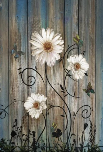 white picket fence,shasta daisy,white daisies,wood daisy background,daisy flowers,marguerite daisy,white chrysanthemums,african daisies,perennial daisy,daisies,daisy flower,australian daisies,barberton daisies,garden fence,roses daisies,gerbera daisies,white cosmos,white chrysanthemum,barberton daisy,beautiful garden flowers
