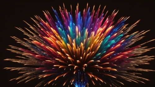 fireworks background,pyrotechnic,fireworks art,firework,fireworks,diwali background,diwali wallpaper,fireworks rockets,pyromania,pyrotechnics,firebrands,netburst,new year vector,seoul international fireworks festival,sparkler,hny,fire background,rainbow pencil background,firecrackers,fireworks digital paper,Photography,General,Natural