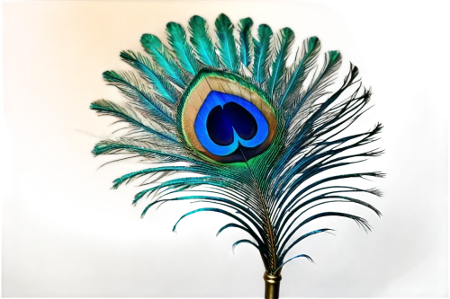 peacock feather,peacock eye,blue peacock,peacock feathers,peacock,fairy peacock,male peacock,peacock butterfly,saturniidae,feather,feather headdress,bird feather,feather jewelry,paraiba,color feathers,blue parrot,peacocks carnation,indian peafowl,sceptre,plumes,Conceptual Art,Fantasy,Fantasy 34