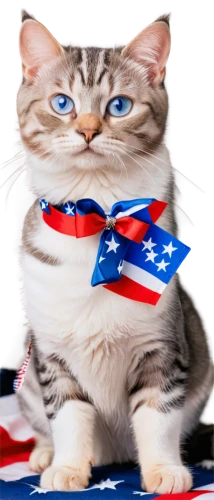 amurtiger,taurica,amerada,patriotism,muricata,merca,ameri,nusa,australiae,vexillological,u s,austrasian,ukusa,catanduva,pusser,mow,anf,aussi,mau,omc,Conceptual Art,Fantasy,Fantasy 31