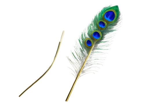 feather bristle grass,peacock feather,grass fronds,sedges,blade of grass,hare tail grasses,peacock feathers,notochord,cattail,petiole,blades of grass,hawk feather,microtubules,equisetum,horsetails,echinochloa,needlegrass,flagella,cyperus,elymus,Art,Artistic Painting,Artistic Painting 20