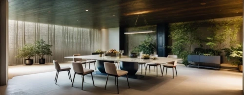 dining room,landscape design sydney,interior modern design,associati,landscape designers sydney,garden design sydney,minotti,breakfast room,contemporary decor,bamboo plants,dining table,bamboo curtain,intensely green hornbeam wallpaper,modern decor,wallcoverings,black bamboo,oticon,modern room,andaz,interior design