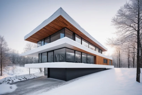 winter house,cubic house,snohetta,snow house,modern house,modern architecture,snow roof,timber house,house in mountains,cube house,house in the mountains,snow shelter,wooden house,inverted cottage,frame house,snowhotel,avalanche protection,cantilevers,dunes house,forest house,Photography,Black and white photography,Black and White Photography 12