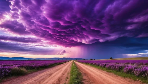 purple landscape,lavender fields,lavender field,storm clouds,violet colour,morado,purple,dramatic sky,wavelength,monsoon,thunderclouds,supercell,provence,mammatus,mammatus clouds,mammatus cloud,epic sky,amazing nature,lavender,orage,Photography,General,Realistic