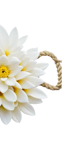 chrysanthemum background,wood daisy background,flowers png,sunflower lace background,white chrysanthemum,the white chrysanthemum,flower background,paper flower background,yellow rose background,yellow gerbera,shasta daisy,daisy flower,gerbera flower,gerbera,chrysanthemum,yellow chrysanthemum,camomile flower,decorative flower,gold flower,flower wallpaper,Illustration,Realistic Fantasy,Realistic Fantasy 28