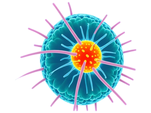 flavivirus,reovirus,adenovirus,cytomegalovirus,coronavirus,polyomavirus,adenoviruses,poliovirus,rhinovirus,rhinoviruses,enteroviruses,mimivirus,coronaviruses,lentivirus,herpesvirus,biosamples icon,norovirus,baculovirus,retroviruses,enterovirus,Unique,3D,3D Character