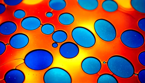 dot pattern,blue spheres,surface tension,quasicrystals,abstract background,abstract pattern,fruit pattern,nanomaterial,microspheres,background abstract,stained glass pattern,nanostructures,candy pattern,orbifold,pool water surface,bottle surface,dot background,orange dots,microparticles,bokeh pattern,Unique,Paper Cuts,Paper Cuts 08