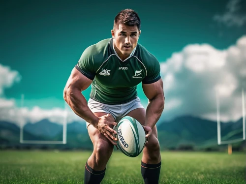 irfu,willemse,heaslip,carbery,flyhalf,springboks,tuilagi,rugby,mcclenaghan,schalk,mcgeechan,robshaw,sweetnam,shingler,sportsground,hougaard,solomona,lineham,rugbyu,biggar,Conceptual Art,Fantasy,Fantasy 02