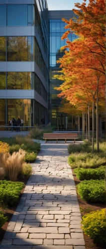 njitap,technion,phototherapeutics,schulich,globalfoundries,technopark,aicpa,embl,oclc,lankenau,ucd,biotechnology research institute,office buildings,fall landscape,the trees in the fall,genzyme,office building,kaist,arborway,landscaped,Illustration,Realistic Fantasy,Realistic Fantasy 18