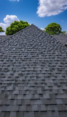 roof landscape,shingled,slate roof,house roof,tiled roof,roof tiles,roofing,house roofs,roof tile,roofing work,shingling,shingles,roof plate,the roof of the,shingle,roofline,roof,rooflines,roof panels,the old roof,Conceptual Art,Daily,Daily 10