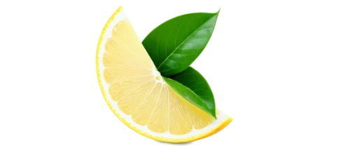 lemon background,lemon wallpaper,slice of lemon,lemon,half slice of lemon,sliced lime,lemon - fruit,citron,lemon tree,limeade,lemon half,limonene,lime slices,lime,citrus,lemon slice,lemon juice,limes,green oranges,limon,Illustration,Retro,Retro 20