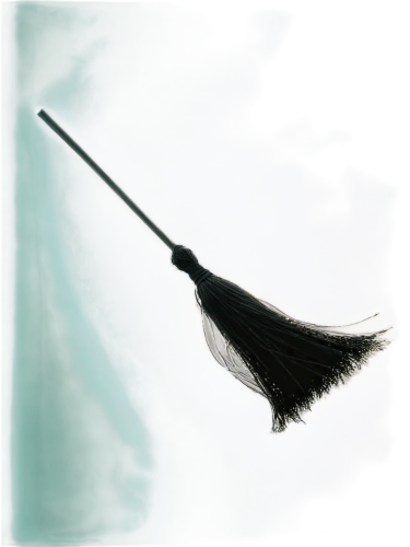 broomstick,broom,black feather,hardbroom,brooms,quarterstaff,feather on water,peacock feather,witch's hat icon,broomsticks,dustpan,scythes,halberd,spearhead,ostrich feather,sweeping,swan feather,raven's feather,white feather,scything,Photography,Documentary Photography,Documentary Photography 12