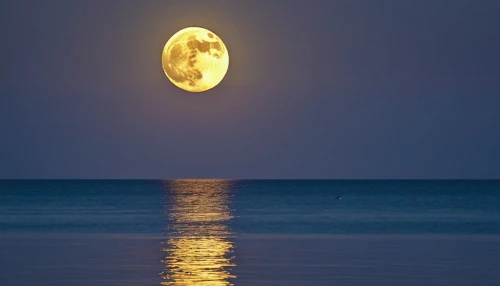 super moon,full moon,moon photography,moonrise,moon at night,moonesinghe,big moon,moonlit night,moonstruck,moon seeing ice,moonta,hanging moon,moonda,the moon,moonlit,blue moon,moonen,moondance,mooned,jupiter moon,Photography,General,Realistic