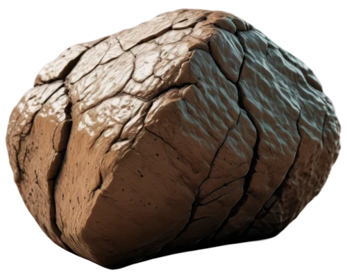 stone ball,coconut shell,brachiopod,sackcloth textured,concretion,fibrillar,carapace,mandelbulb,protoconch,asteroid,wooden ball,cubeb,osteoderms,glyphostoma,seamless texture,texturing,lycoperdon,paleobotany,planetoid,sackcloth textured background,Illustration,Japanese style,Japanese Style 13