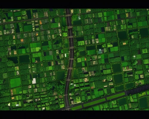 digitalglobe,landsat,green fields,farms,satellite imagery,fruit fields,farmland,microdistrict,agricultural,subdivisions,farmlands,vegetable field,landcover,polders,river delta,green wallpaper,onion fields,rice fields,city blocks,verdant,Photography,General,Realistic